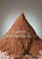  ALKALIZED COCOA POWDER 2