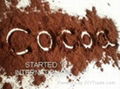  ALKALIZED COCOA POWDER 4