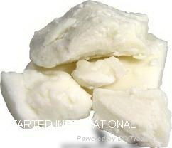 REFINED SHEA BUTTER 5