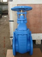 602- F BS cast iron gate valve