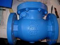 603- F BS cast iron check valve  1