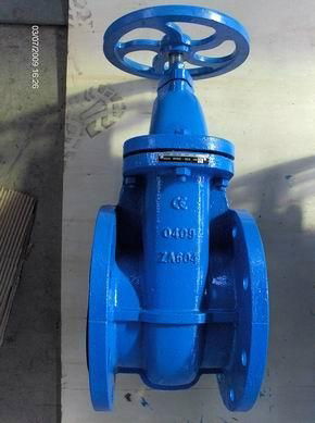 802-DIN  cast iron gate valve