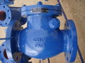 803-F cast iron check valve