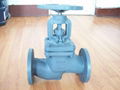 804-F DIN cast iron globe valve