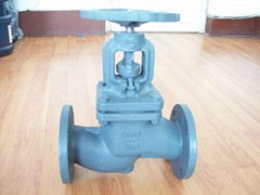 804-F DIN cast iron globe valve 