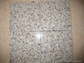 G681 Shrimp Red Granite