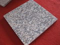 TIGER SKIN RED GRANITE