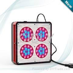 apollo_4_led_grow_light best for hydroponics and herbal