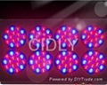 Apollo_8_led_grow_light for hydroponics