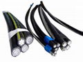 ABC Aerial Bundle Cable 2