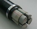 Low Voltage XLPE Underground Cable 2