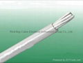 Aluminum Conductor PVC Insulated Eelctrical Wire