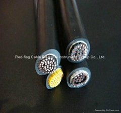 Rubber Insulated Lift Cable