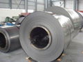 Galvanized Steel Coil