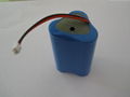 A123 18650 battery pack 2