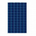 280W poly solar panel from china