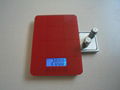 CS-7799 Kitchen scale with pcoket scale function 2