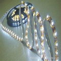 Waterproof 5050 SMD LED strip light 60/30 LEDS PER METER