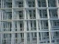 welded wire mesh 