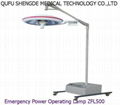 Emergency Power Operating Lamp ZFL500