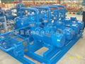 water ring vacuum pump 5