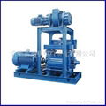 ROM. Watts vacuum pump 1