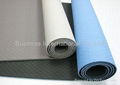 Eco Friendly TPE Yoga Mat 1