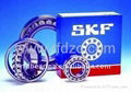 SKF/INA/NSK/FAG BEARINGS 1