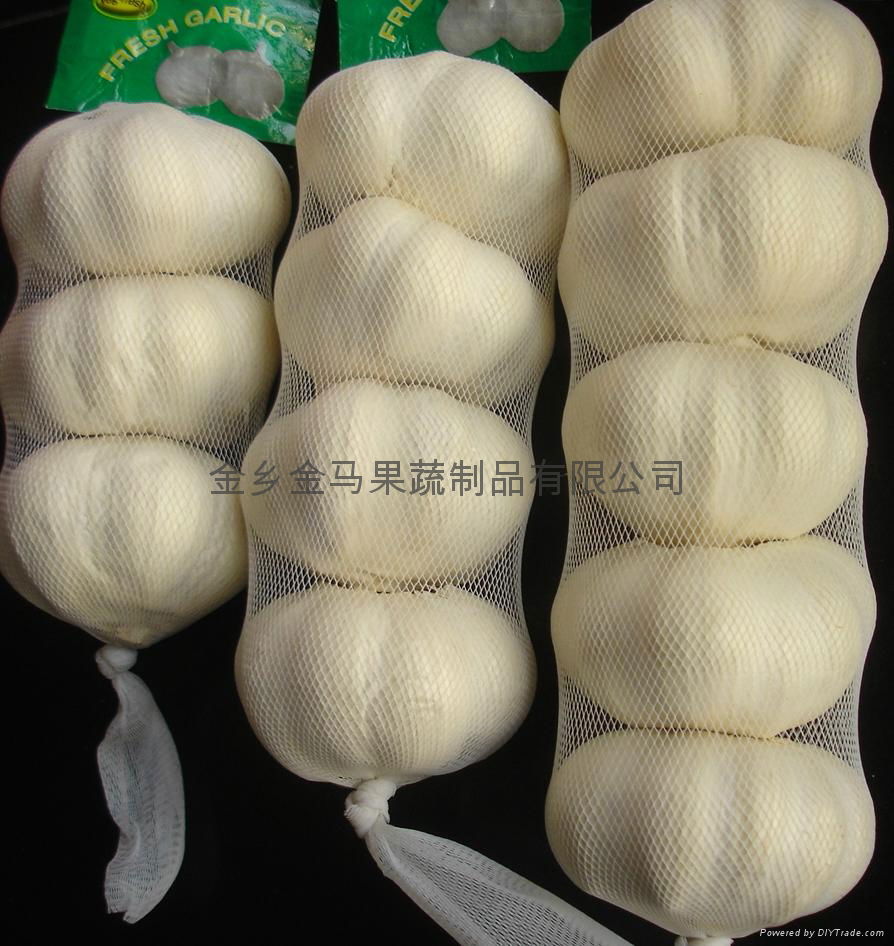 supply fresh normal white garlic in jinxiang 4