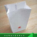 airsickness bag 1