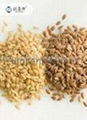 Organic Flax Seed