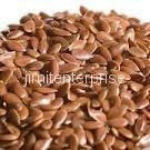Organic Flax Seed 3