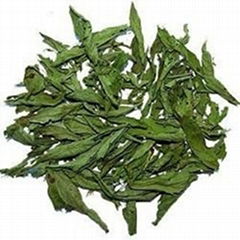 Dry Stevia Leaves