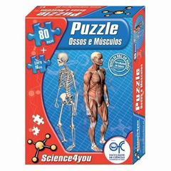 Puzzle bones and muscles