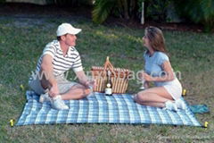 Picnic mat