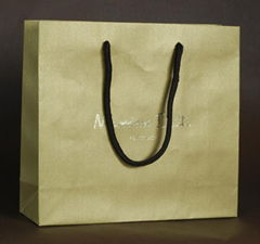 100% eco friendly paper bag