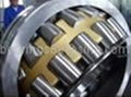 spherical roller bearing