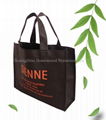 non woven bag 2