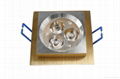 LED ceiling light 1