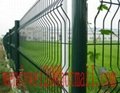 PVC Coating Wire Mesh Fence (BoAn-01) 5