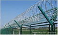 sell razor barbed wire mesh