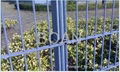 sell wire mesh fence