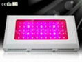 55X3W LED Grow Lights