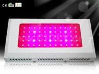 55X3W LED Grow Lights