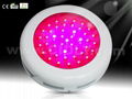 45X3W LED Grow Lights