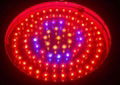 90W UFO LED Grow Lights 1