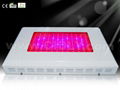 144X3W led grow light 1