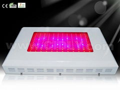 144X3W led grow light