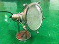 Swimming pool bulb lamp light 3