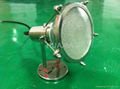 Swimming pool bulb lamp light 4